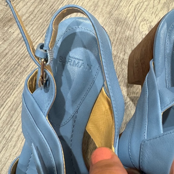 Alexandre Birman blue clarita clog heel sandals - Picture 9 of 9